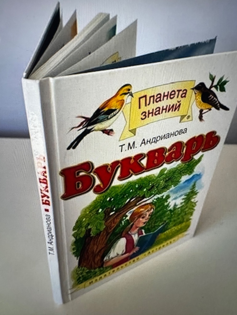 Russian Books, Russian Bykvar for kids, T. M. Andrianova - Picture 8 of 9